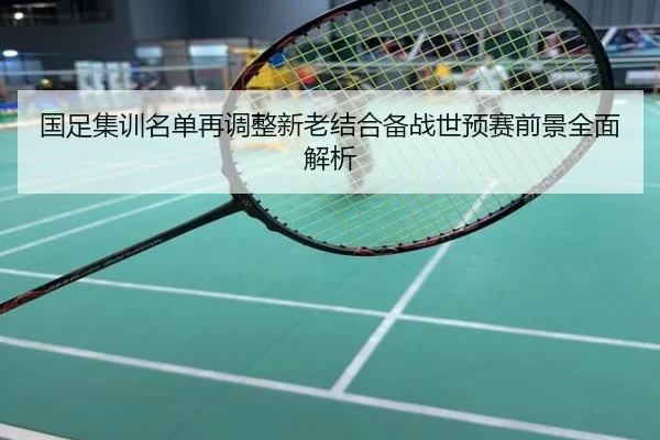 国足集训名单再调整新老结合备战世预赛前景全面解析